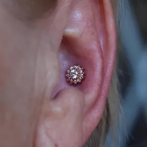 paradise montreal ear piercing 3 1024x1004