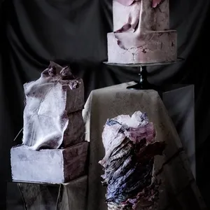 sonia gateaux 36 668x1024