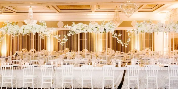 313253846 545405744255263 5329931769230011553 n